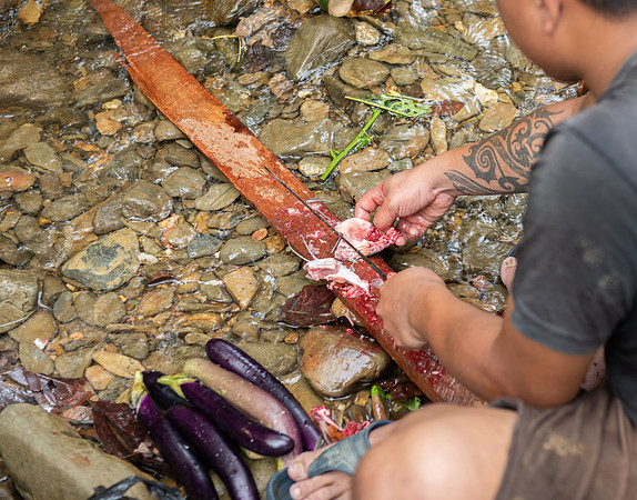 Mengkak waterfall hike catfish