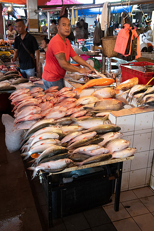 Fish market