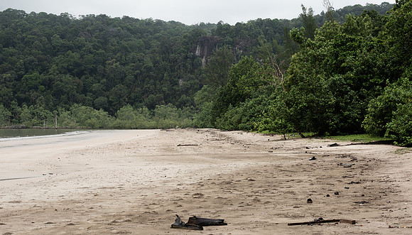 Bako beach 1