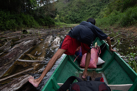 Mengkak waterfall driftwood