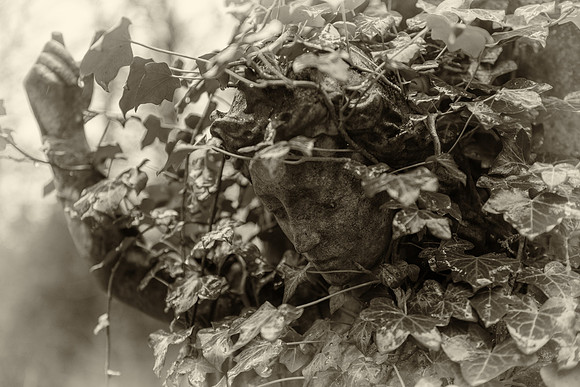 Highgate cemetery  face