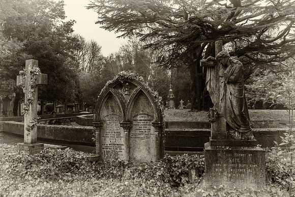 Highgate cemetery cedar tree