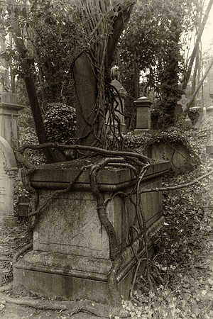 Highgate cemetery creepers 2
