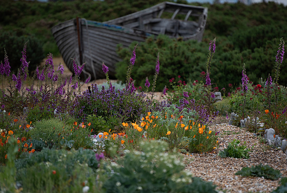 Jarman garden