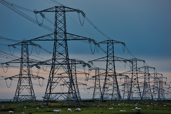 pylons sheep
