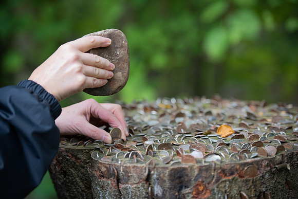 Lucky Money stump