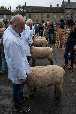 Masham sheep fair 1