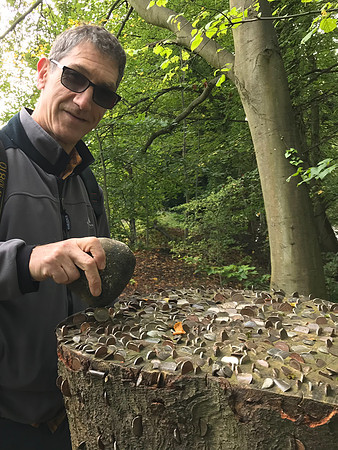 Gary Easby coin stump