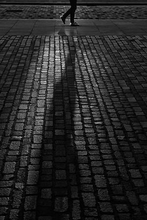 CSM Cobbles shadow.tif