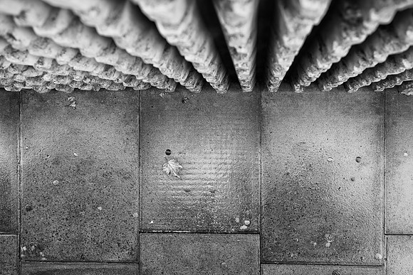 Minories wall leaf bw