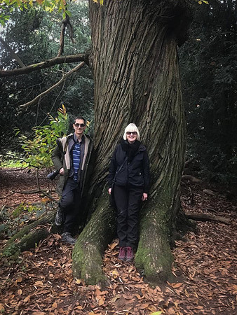 Panhanger Gary Liz oak