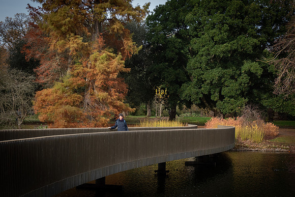 Jenni Sackler Bridge