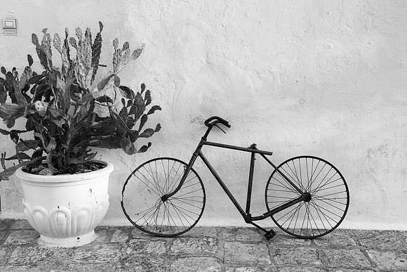Ostuni bike cactus