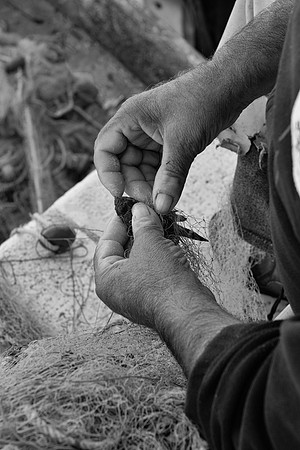 Bari fish in net hands 2 bw