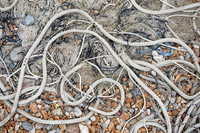 Dungeness beach