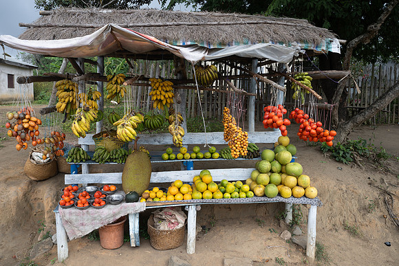 Roadside Fruit stall