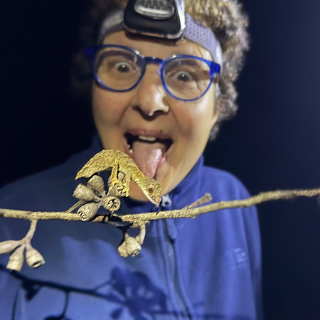 Tasty Leaf Tailed gekko